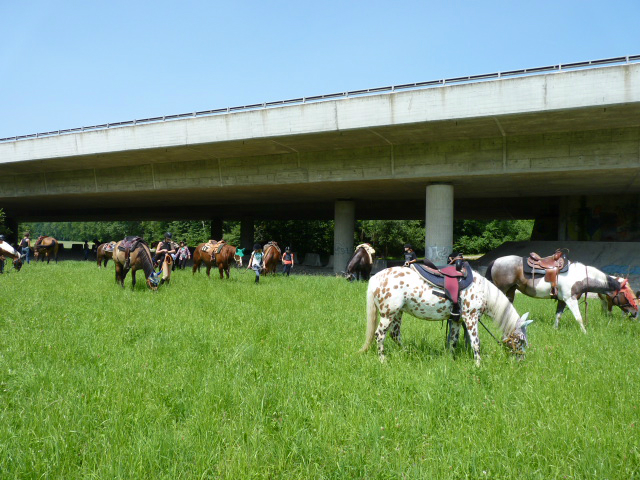 Kinderreitlager vom 8.7.-13.7.2013 125
