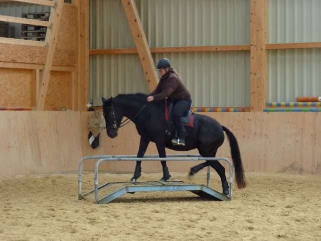 Rolf Janzen Kurs Nov2013 033