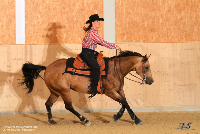 SM Reining 2013 1