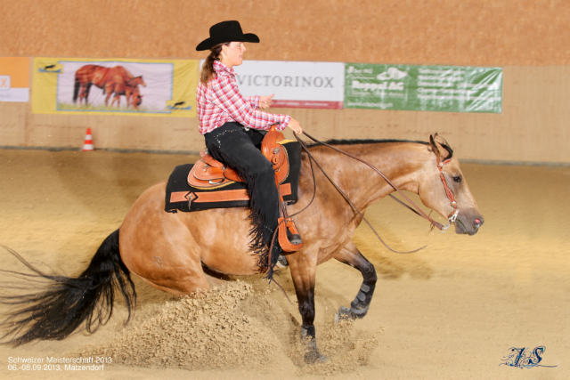 SM Reining 2013 4