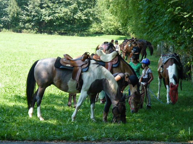 Tagesritt Isidors Fest Hündli 006
