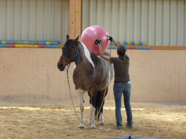 PNH-Kurs 25.5.2014 018