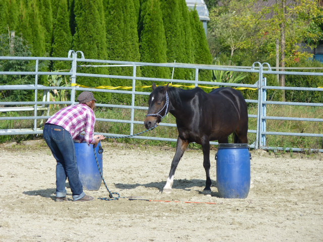 Brunch und PNH Kurs vom 28.9.2014 055