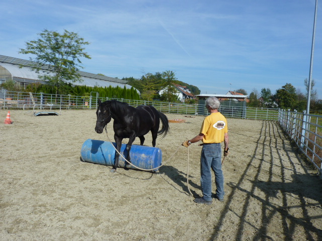 Brunch und PNH Kurs vom 28.9.2014 058