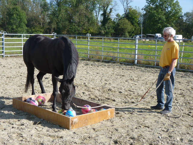 Brunch und PNH Kurs vom 28.9.2014 059
