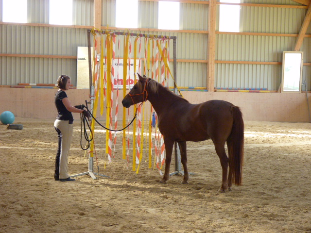 Brunch und PNH Kurs vom 28.9.2014 063