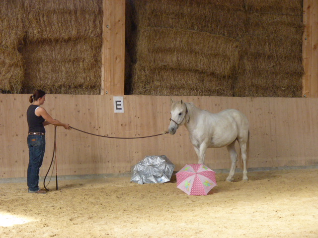Brunch und PNH Kurs vom 28.9.2014 067