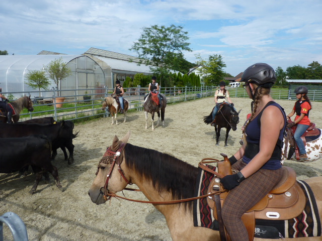Kinderreitlager vom 4.-9.8.2014 245