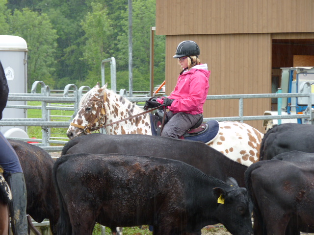 Kinderreitlager vom 7.-12.7.2014 058