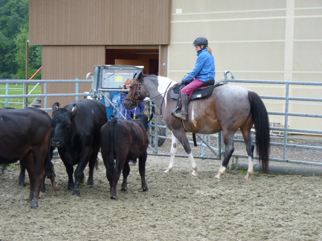 Kinderreitlager vom 7.-12.7.2014 089