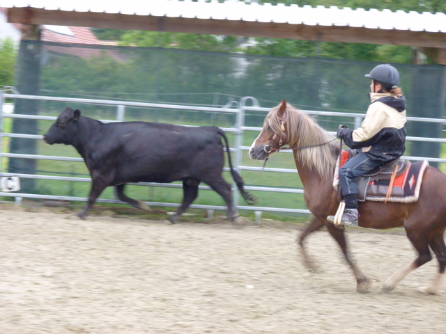 Kinderreitlager vom 7.-12.7.2014 095