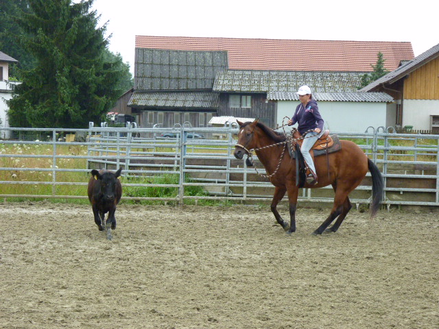 Kurs mit Patrick Sattler 26.27.7.2014 029