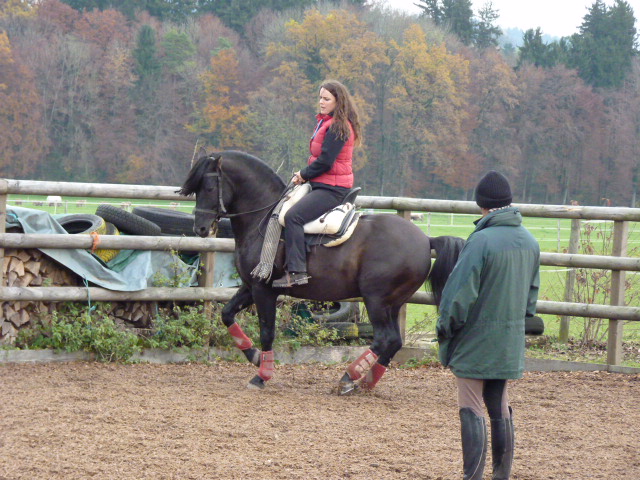 Marisa Manolo Kurs 18.19.11.2014 017