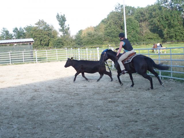 P8070536