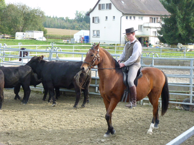 Rolf Janzen-Kurs 4.5.10.2014 1