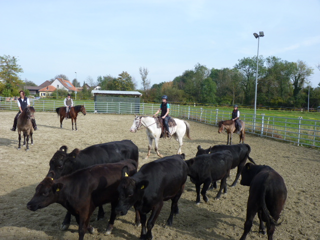 Rolf Janzen-Kurs 4.5.10.2014 17