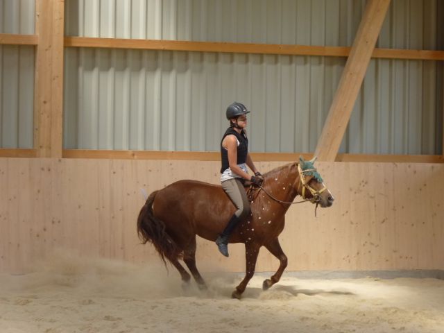 kinderreitferien_2_gruppe_aug2012_290