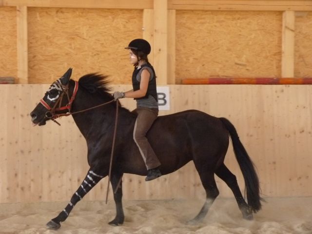 kinderreitferien_2_gruppe_aug2012_294