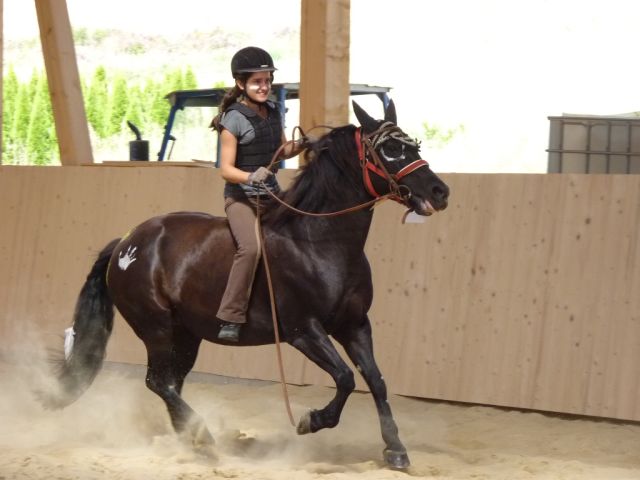 kinderreitferien_2_gruppe_aug2012_291