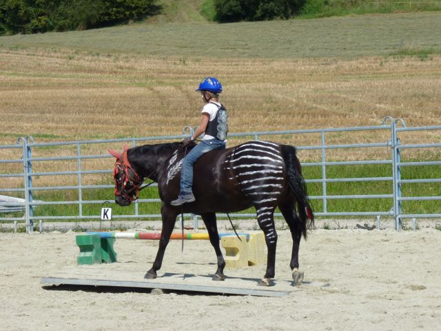 kinderreitferien_2_gruppe_aug2012_300