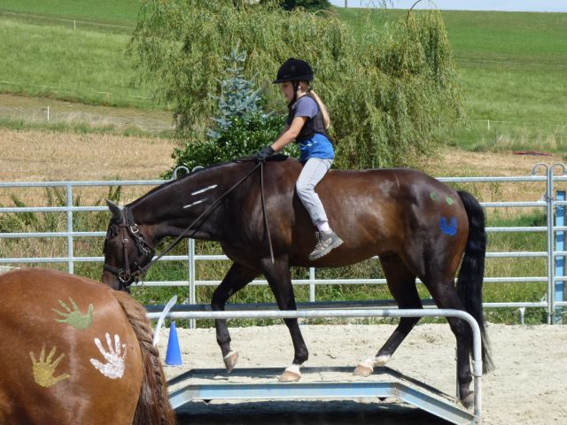 kinderreitferien_2_gruppe_aug2012_301