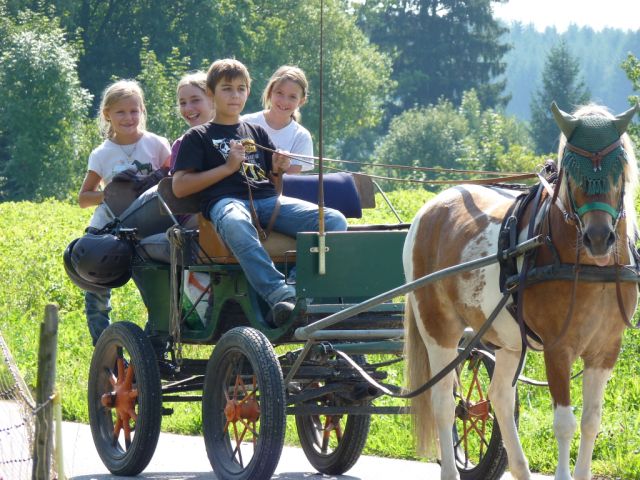 kinderreitferien_2_gruppe_aug2012_332