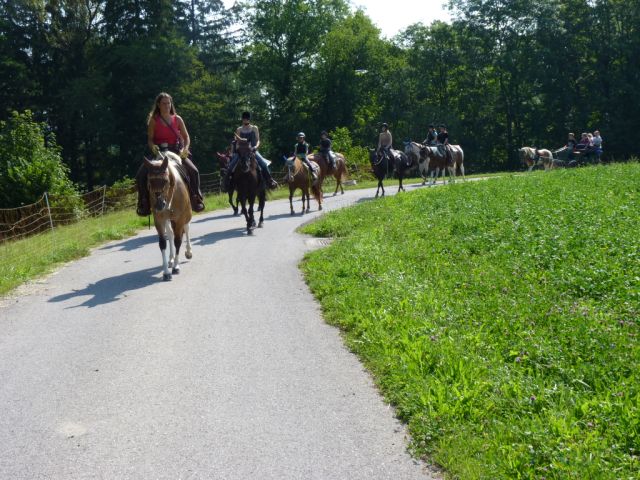 kinderreitferien_2_gruppe_aug2012_326