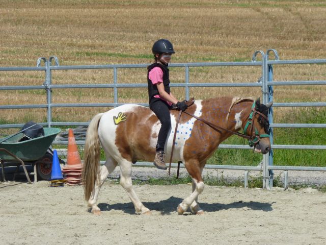 kinderreitferien_2_gruppe_aug2012_313