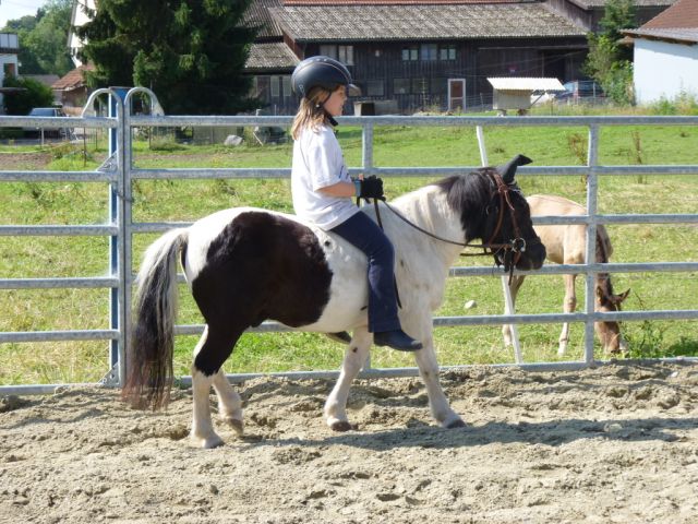 kinderreitferien_juli2012_054