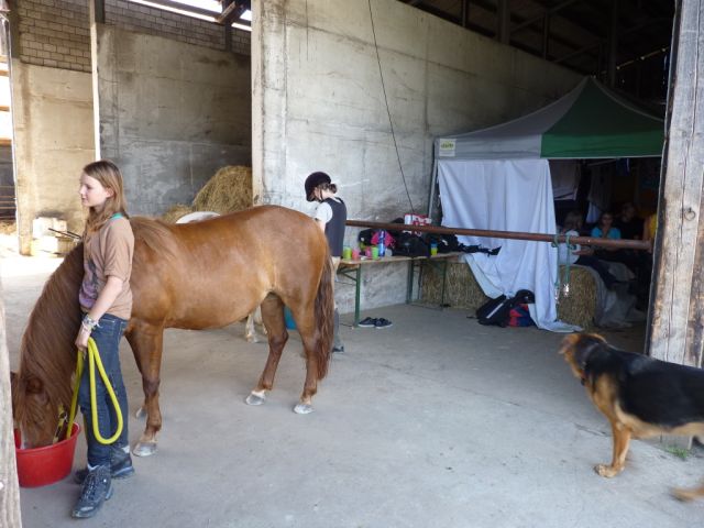 kinderreitferien_juli2012_064