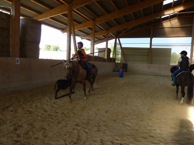 Kinderreitlager_3.-8.8.2015_198