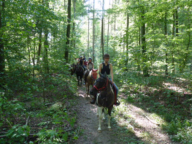 Kinderreitlager_3.-8.8.2015_223
