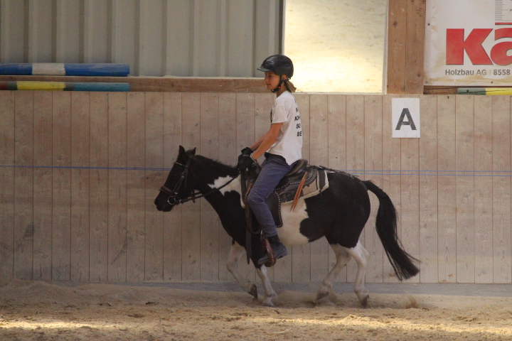 Reitlager_vom_6.-11.8.2018_169