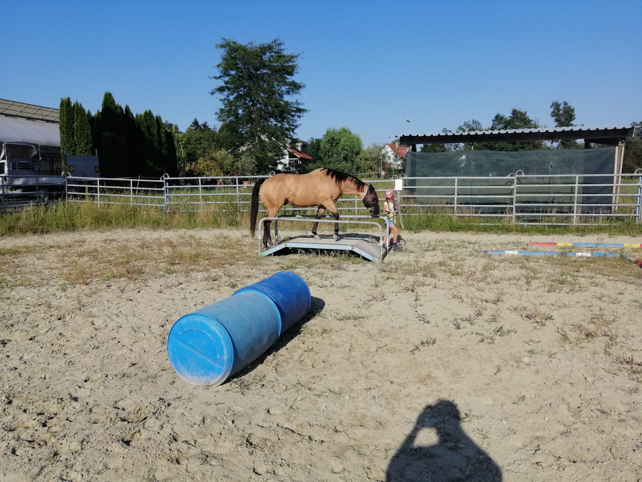 IMG-20210812-WA0004
