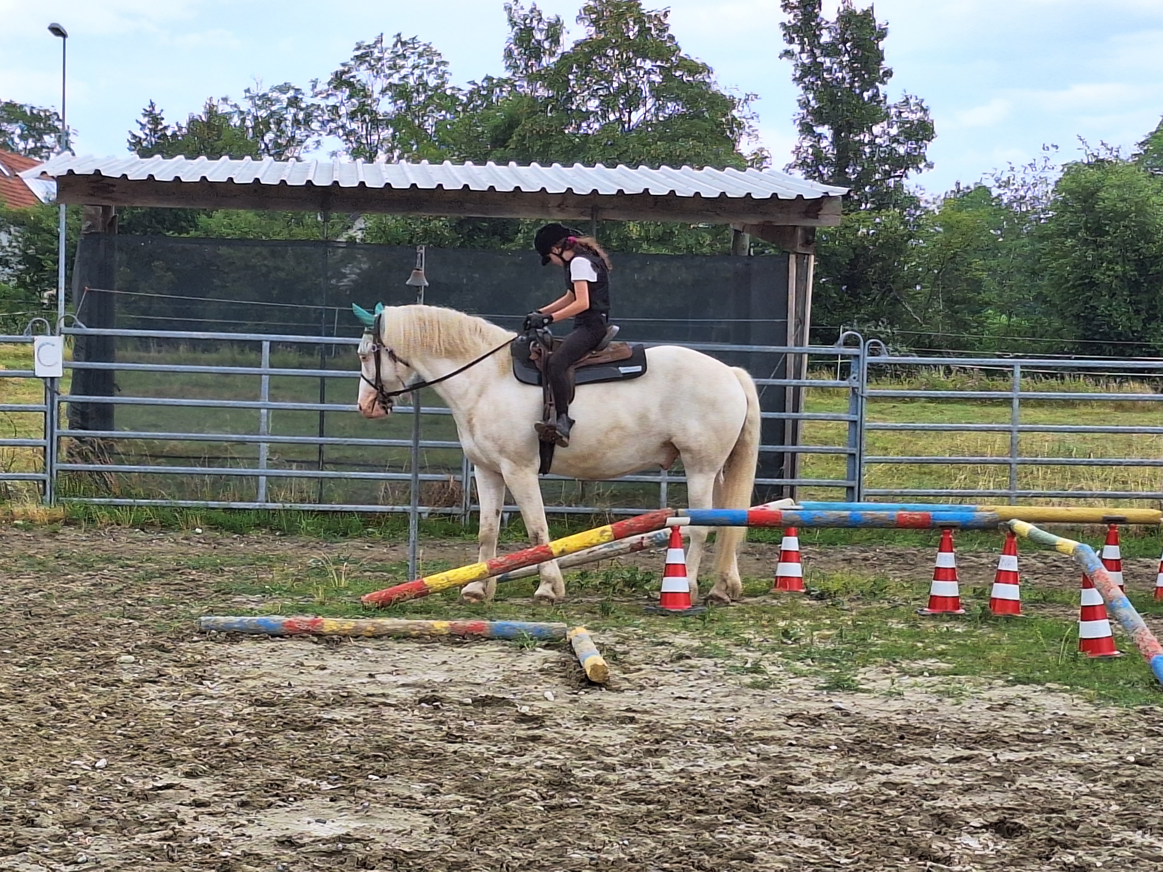 Reitlager 1 vom 8.-13.7.23 (127)