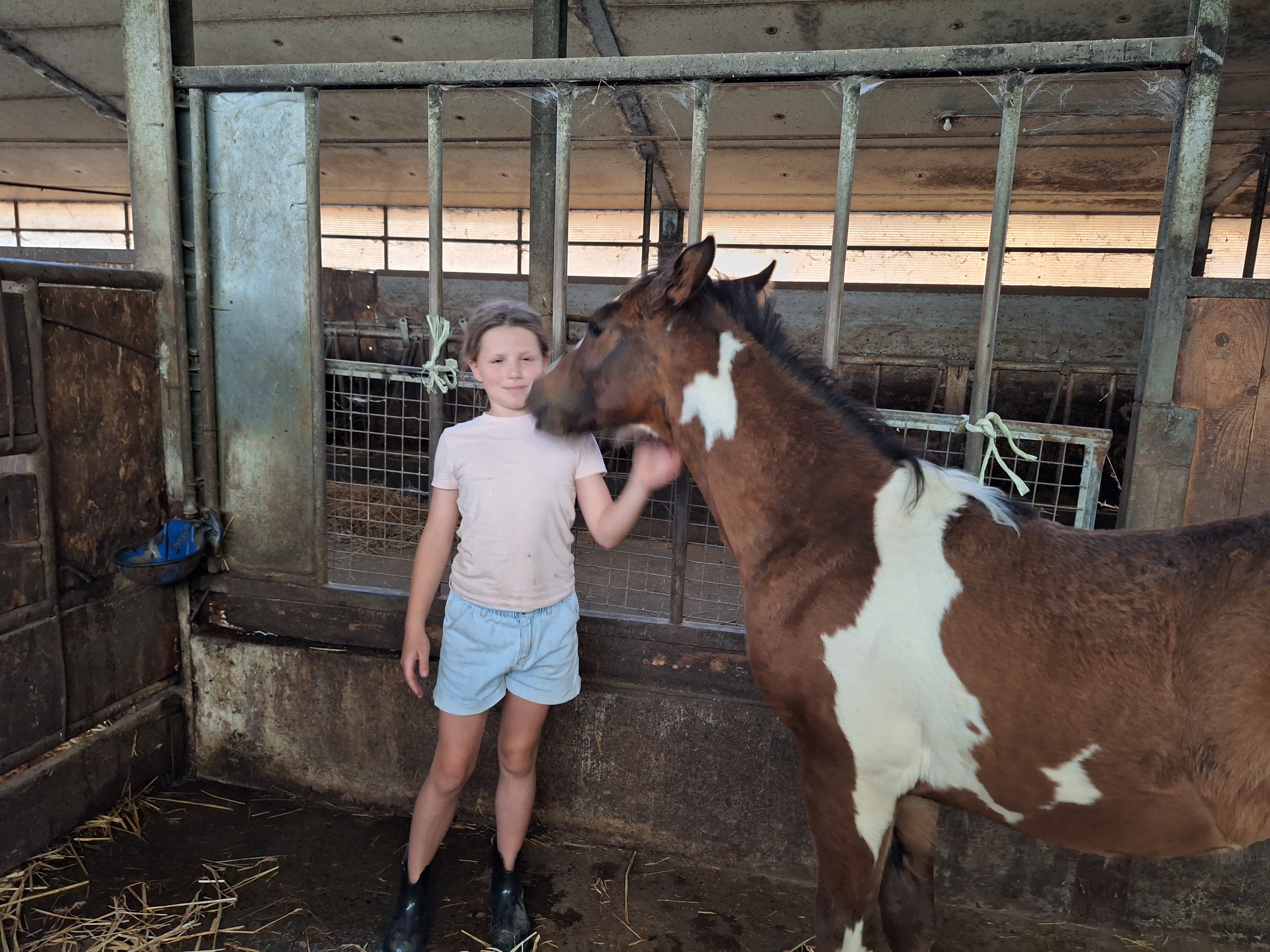 Reitlager 1 vom 8.-13.7.23 (15)