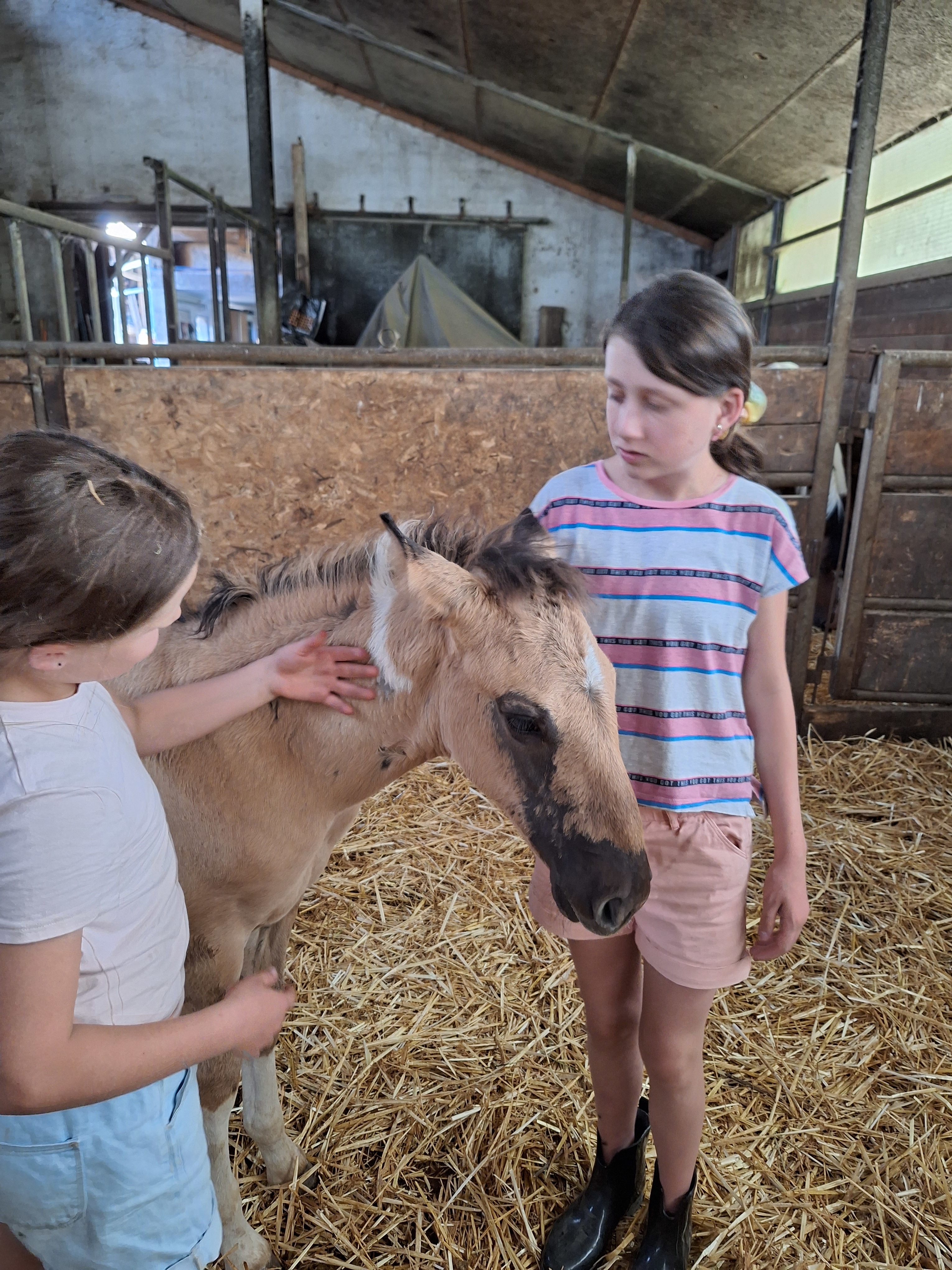 Reitlager 1 vom 8.-13.7.23 (36)