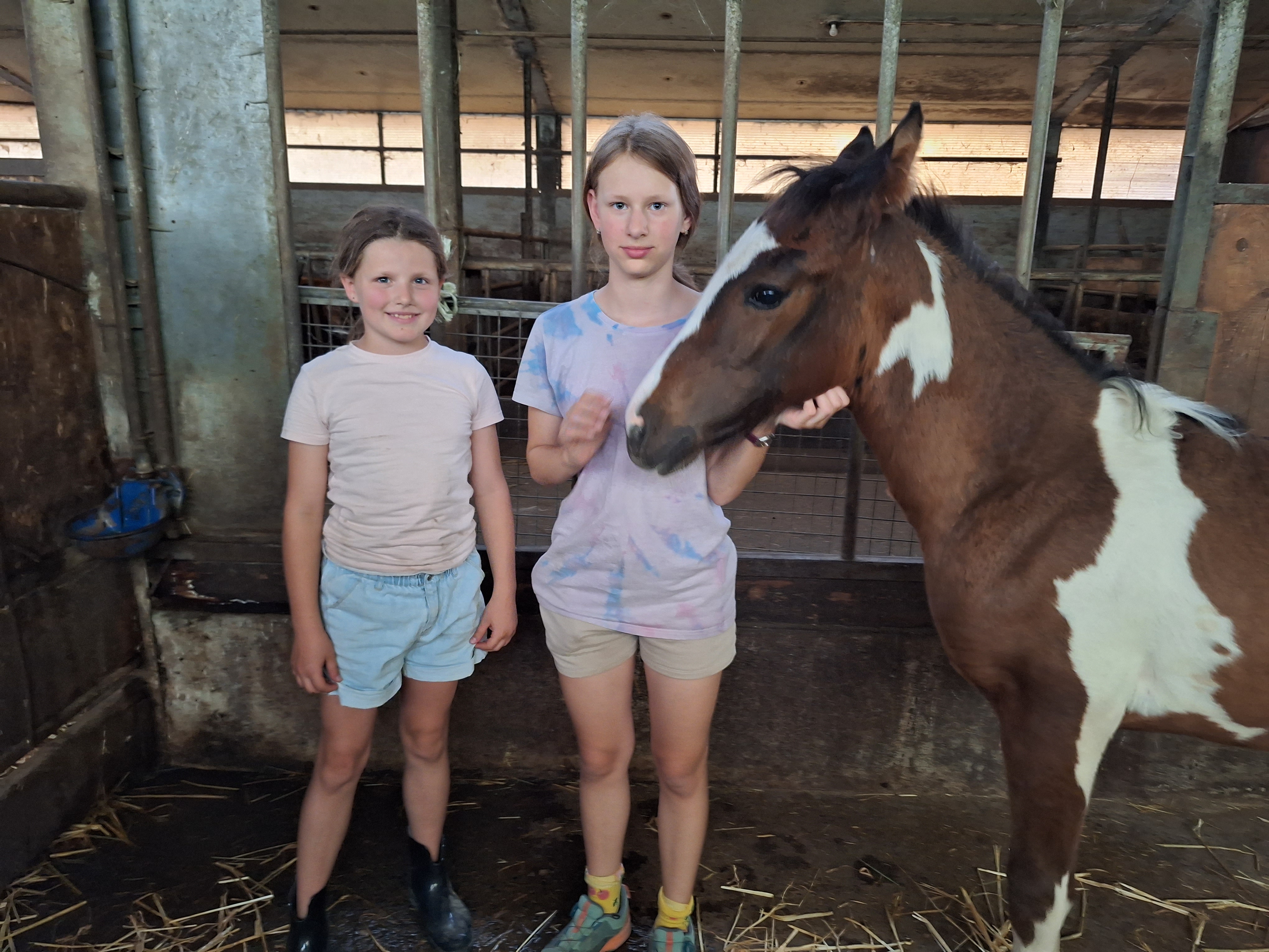 Reitlager 1 vom 8.-13.7.23 (18)