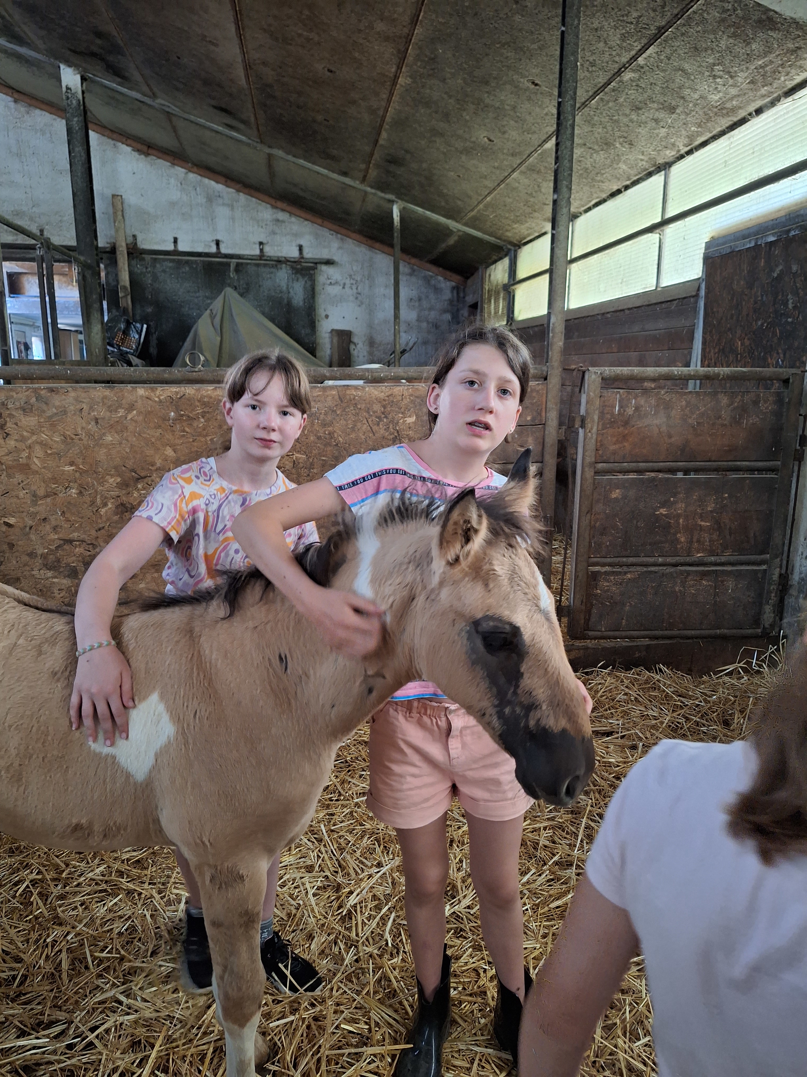 Reitlager 1 vom 8.-13.7.23 (30)
