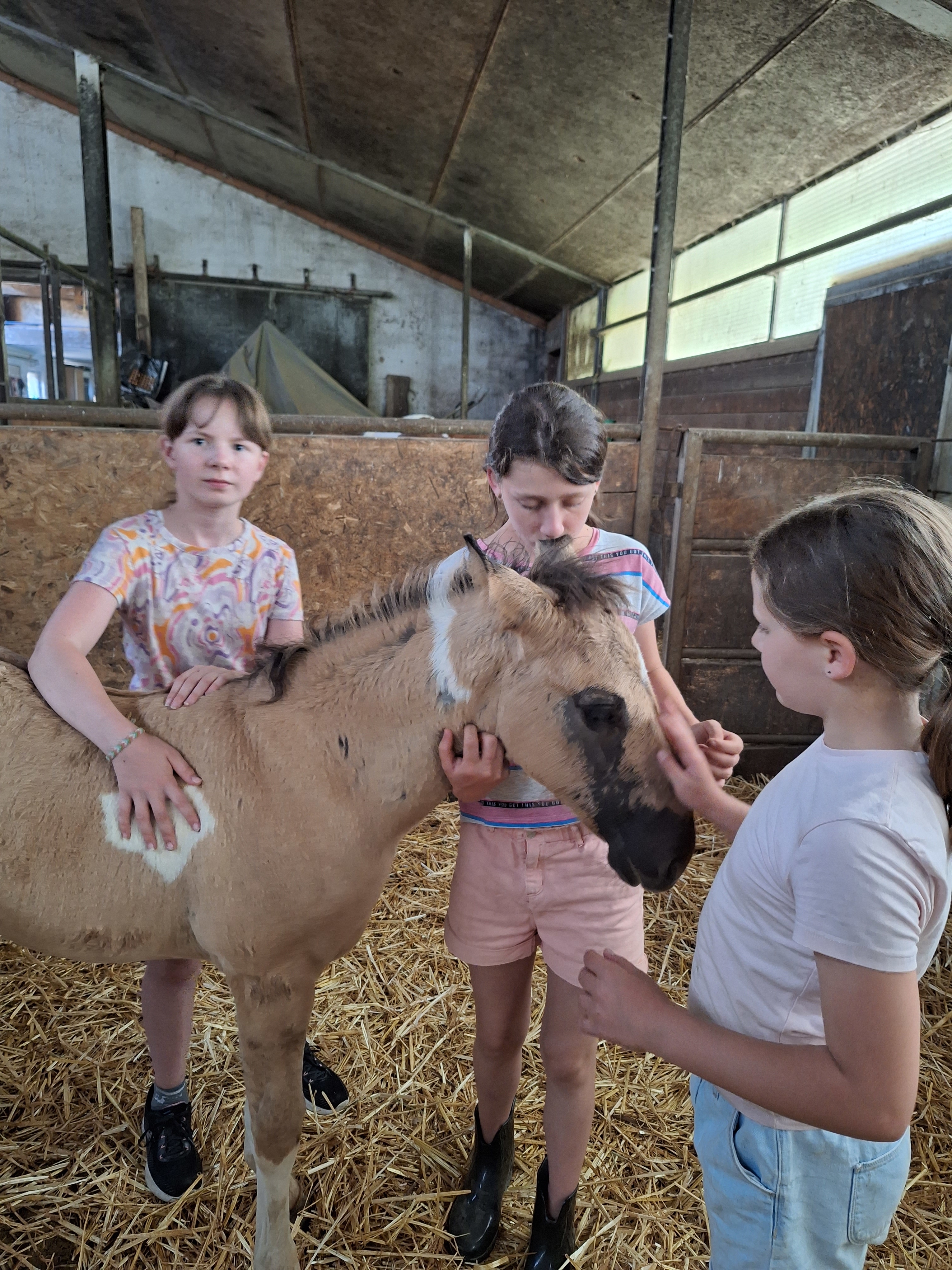 Reitlager 1 vom 8.-13.7.23 (31)