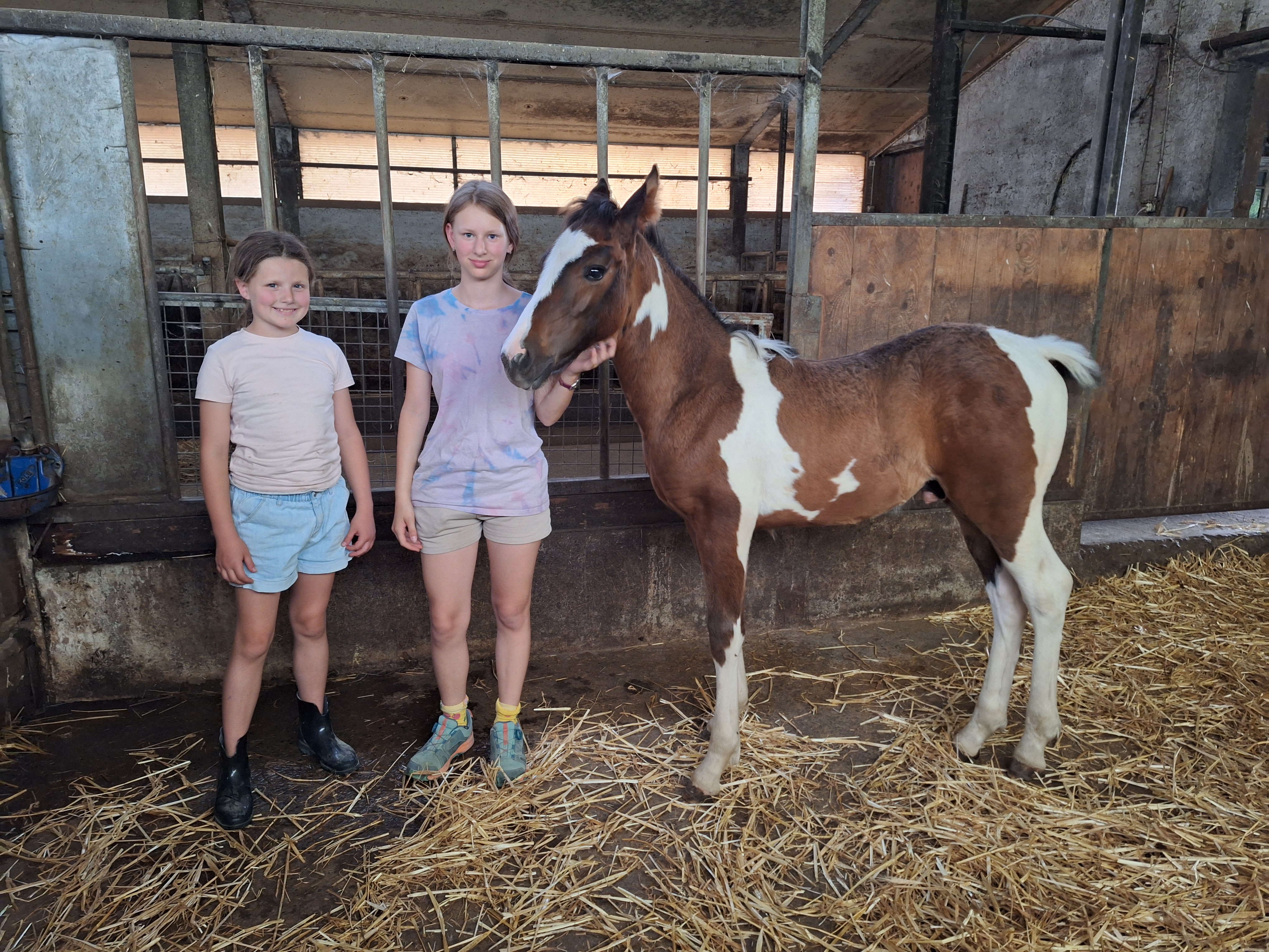 Reitlager 1 vom 8.-13.7.23 (19)