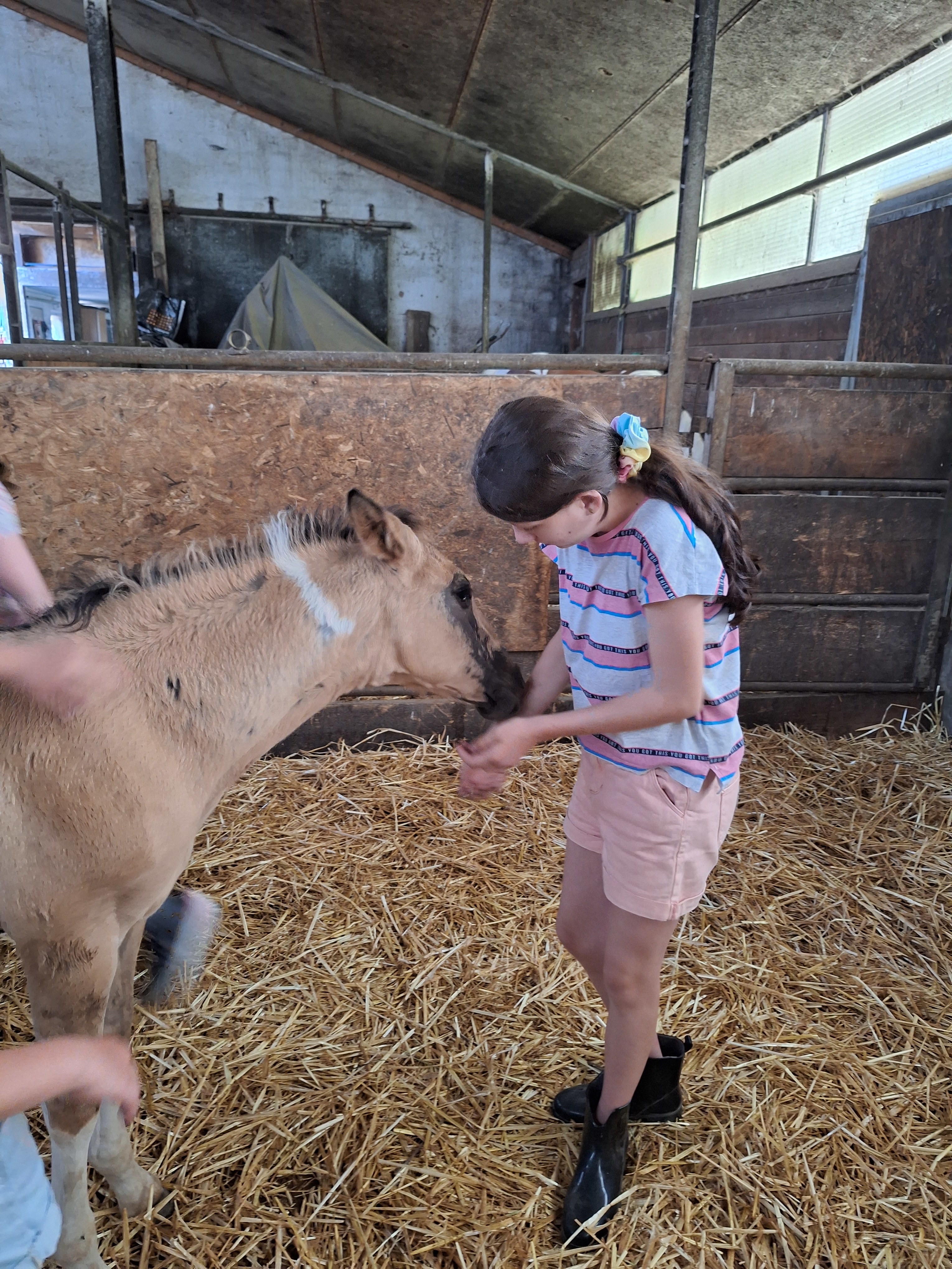 Reitlager 1 vom 8.-13.7.23 (34)