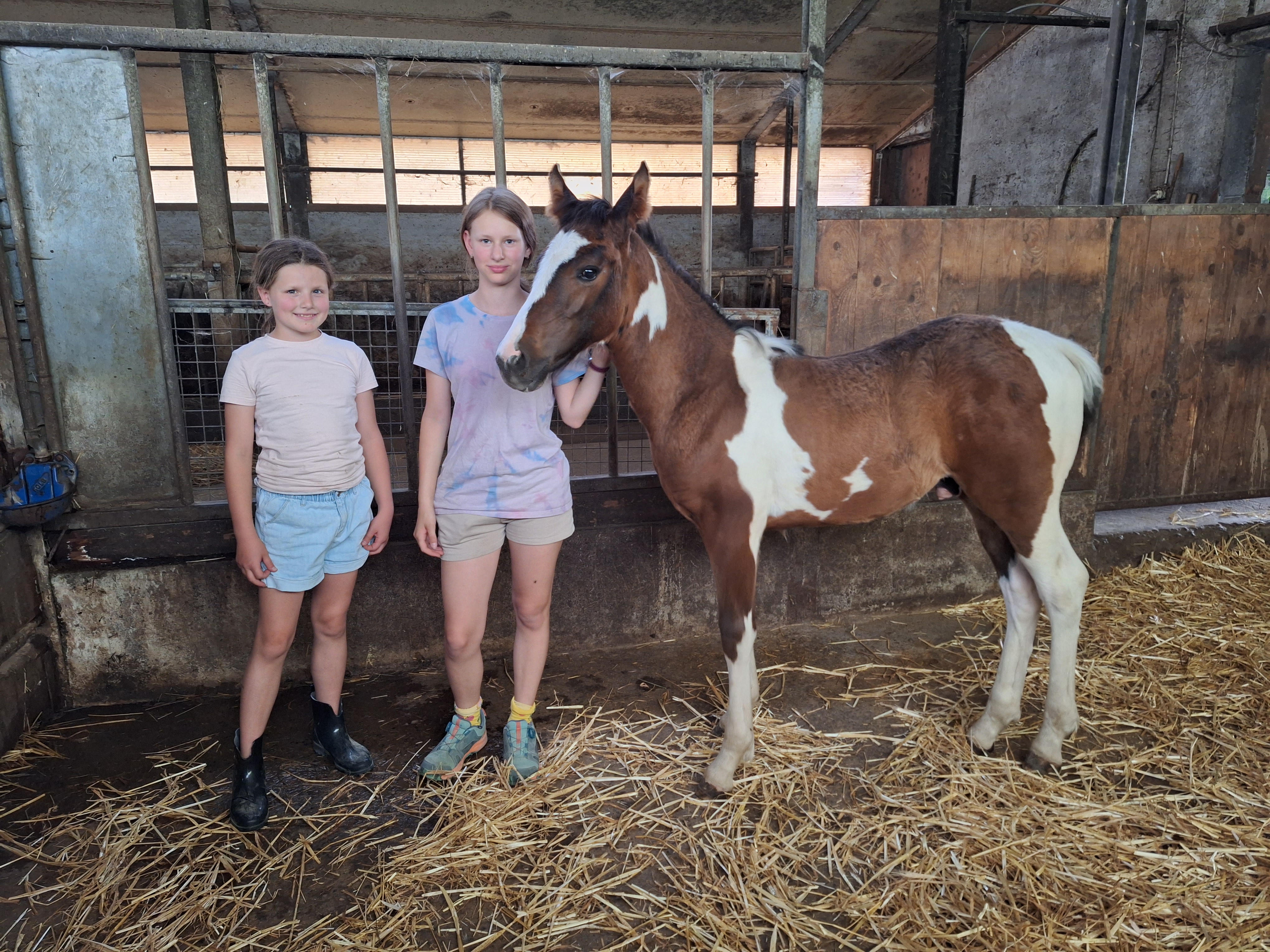 Reitlager 1 vom 8.-13.7.23 (20)