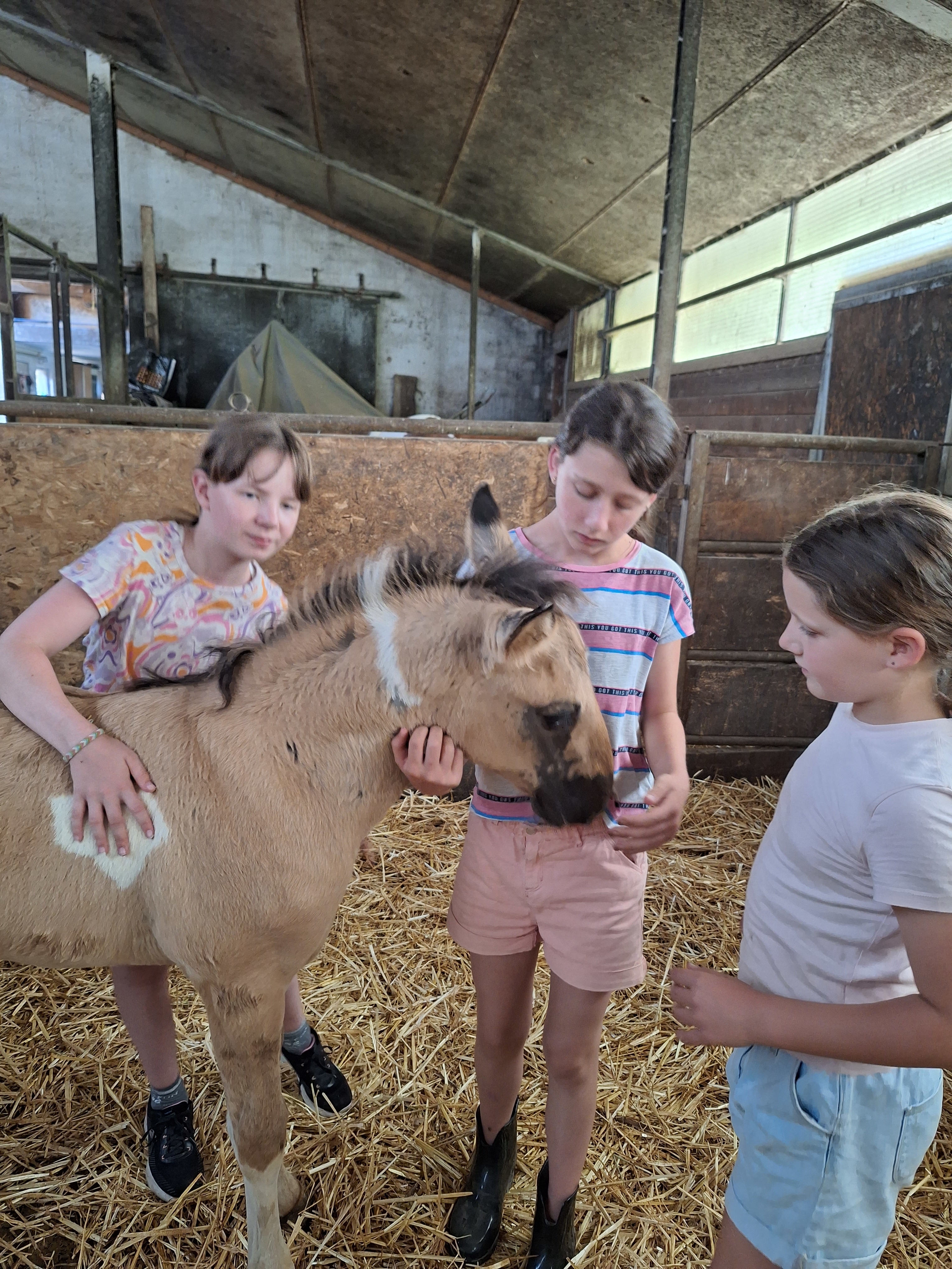 Reitlager 1 vom 8.-13.7.23 (32)
