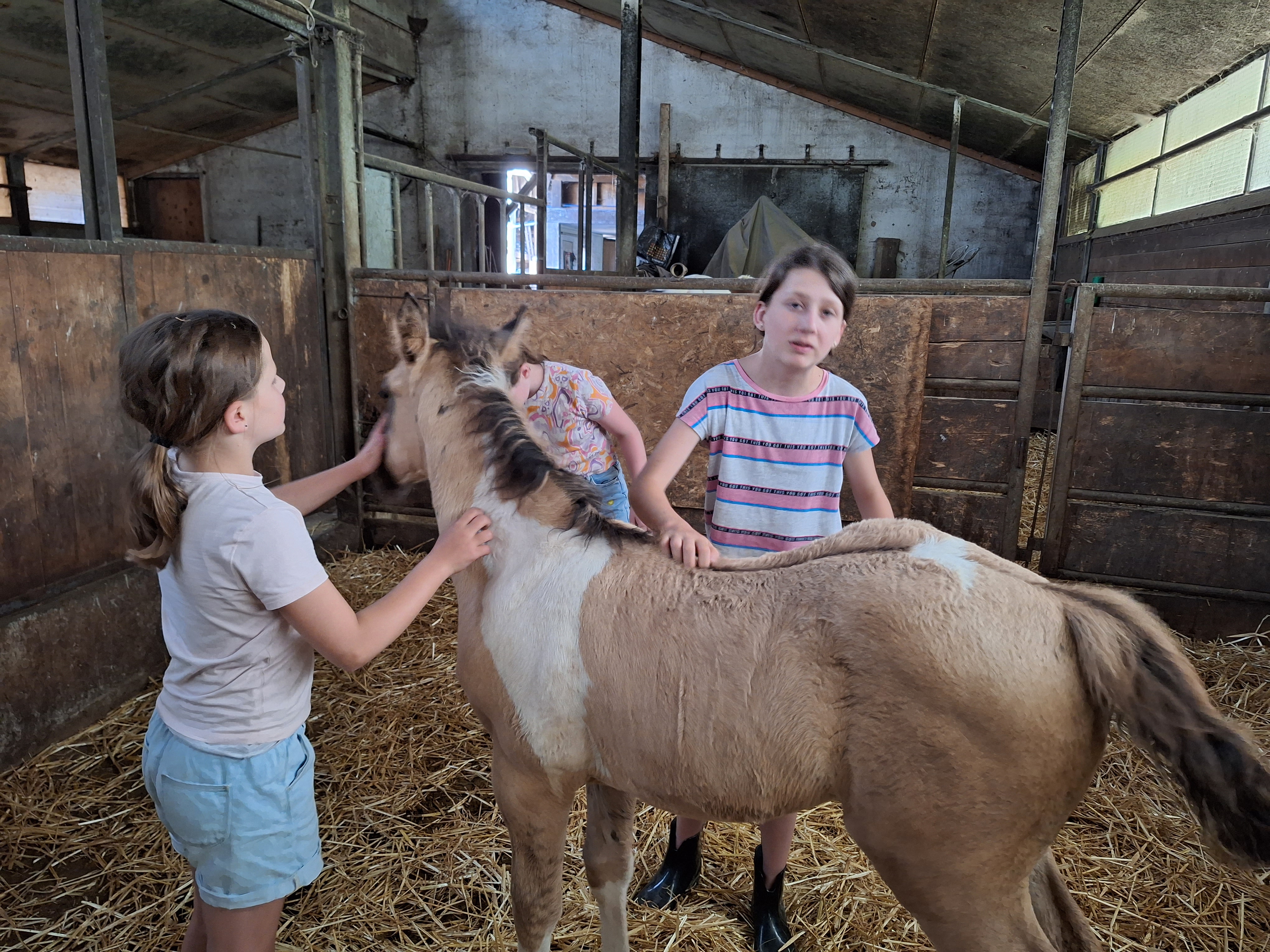 Reitlager 1 vom 8.-13.7.23 (27)