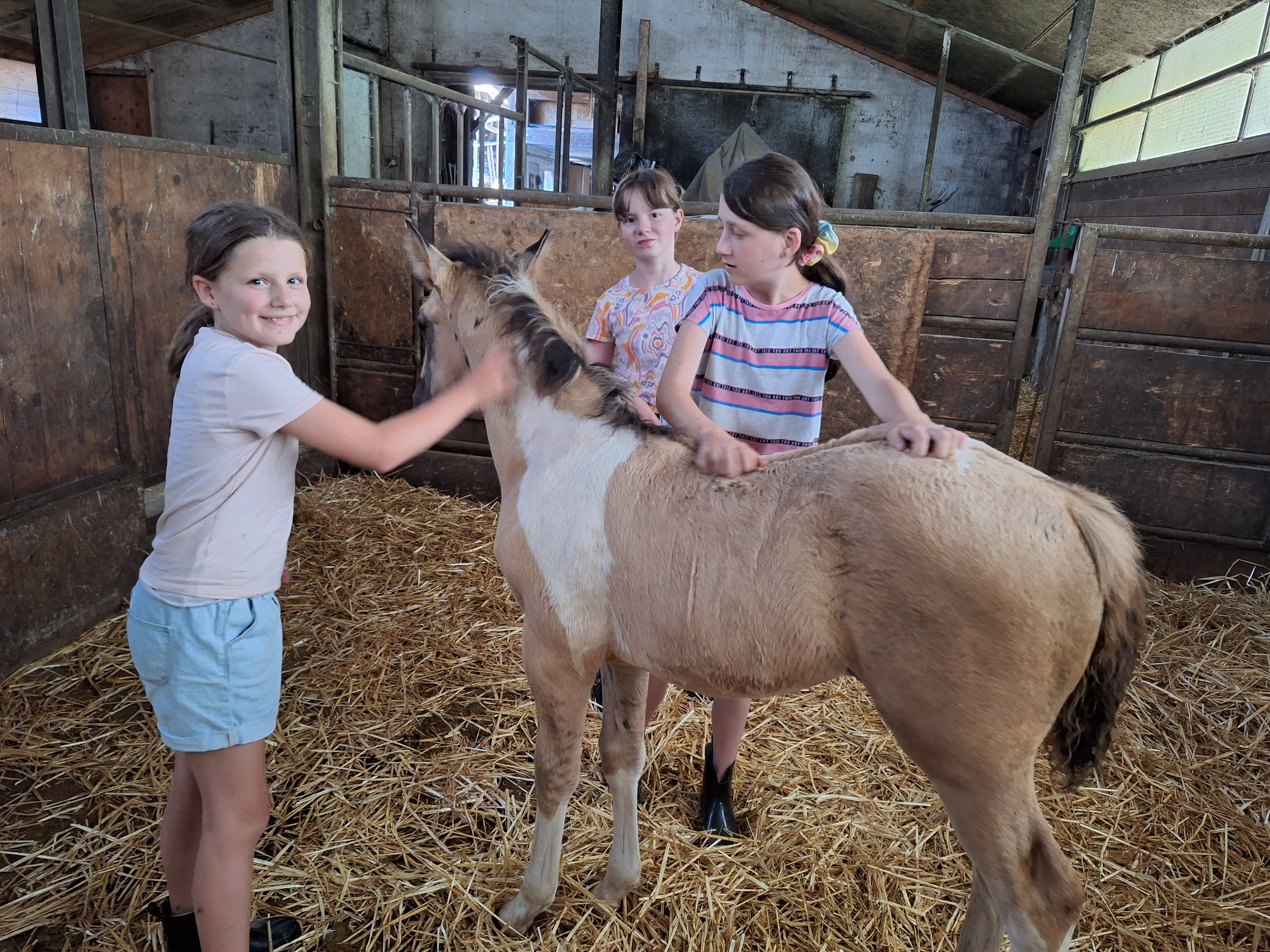 Reitlager 1 vom 8.-13.7.23 (23)