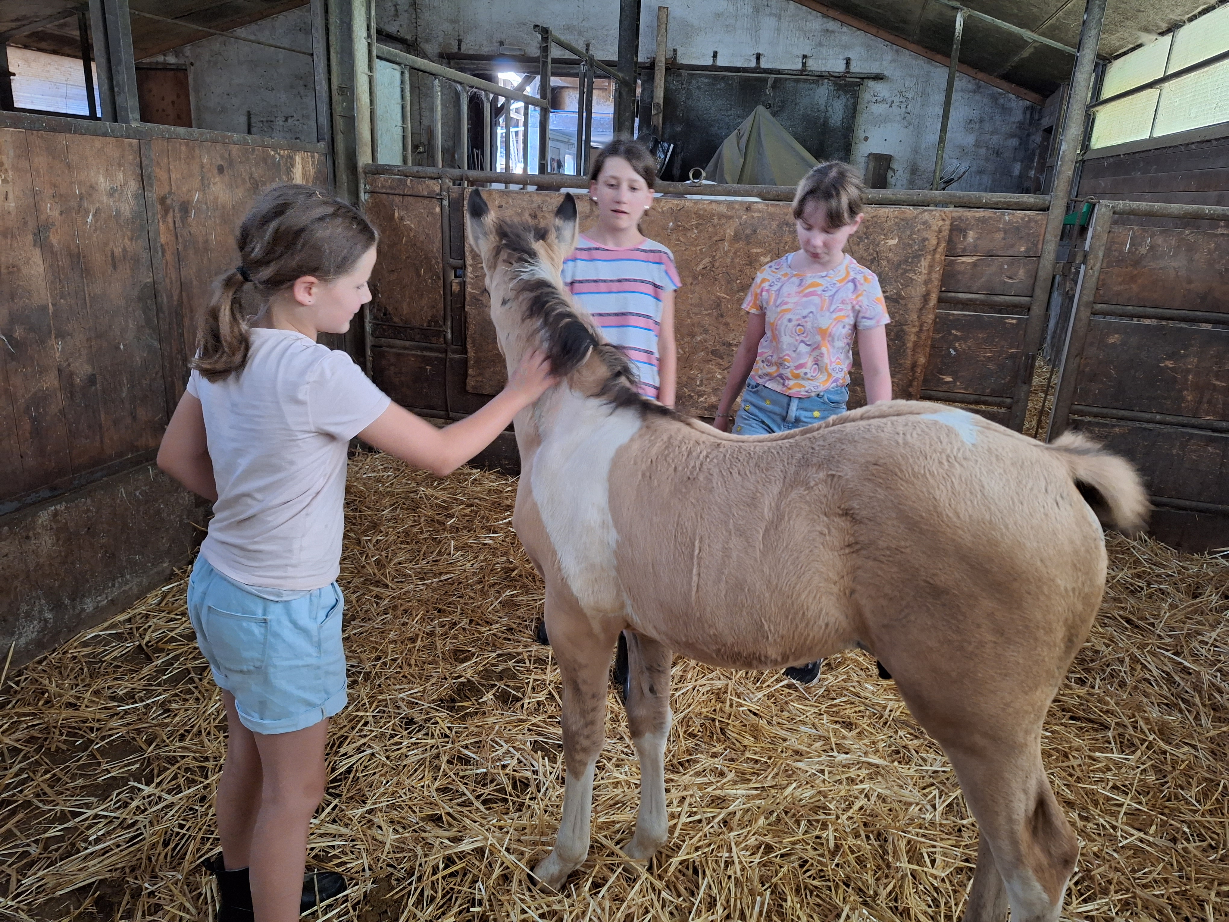 Reitlager 1 vom 8.-13.7.23 (22)
