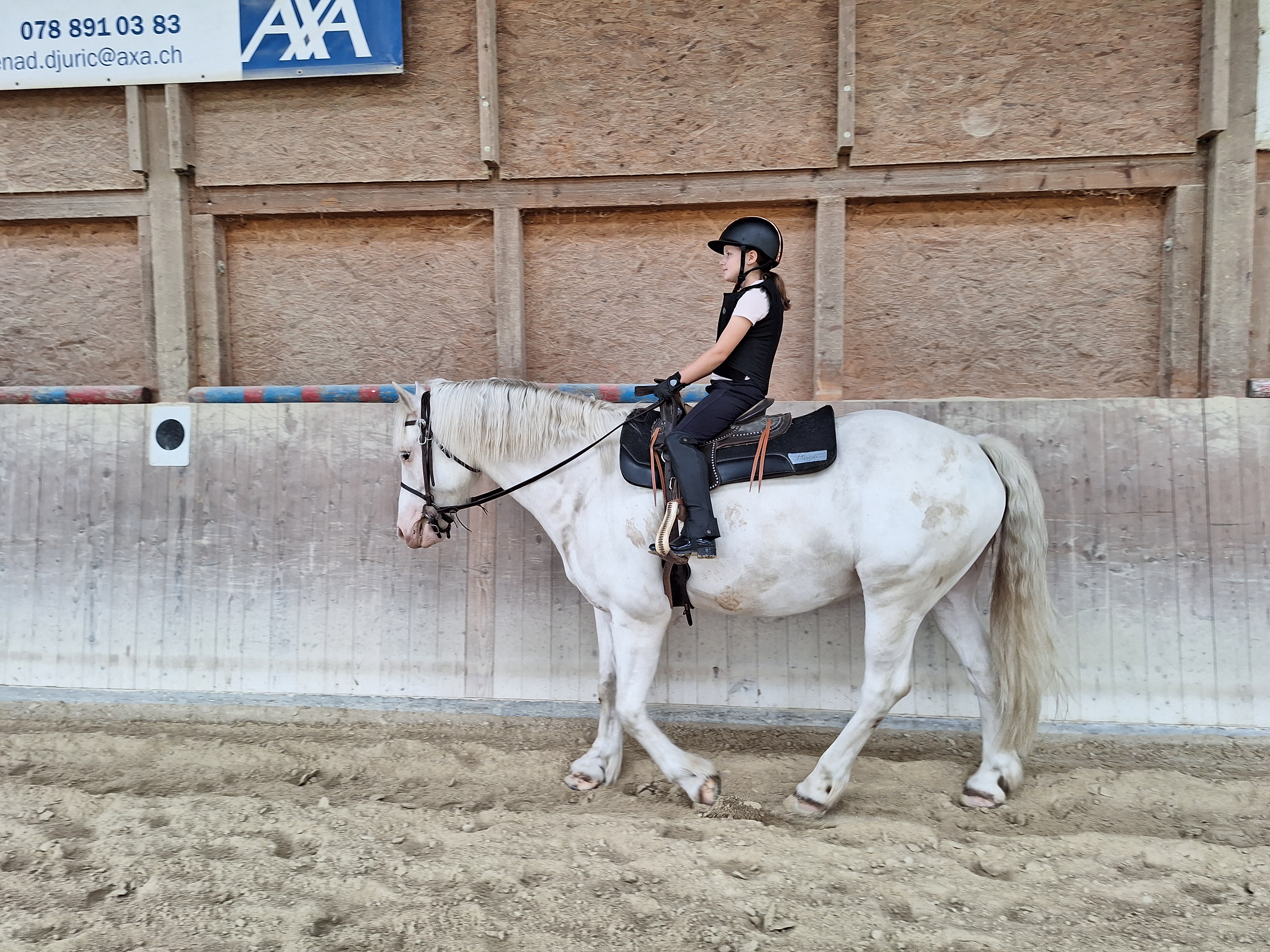 Reitlager 1 vom 8.-13.7.23 (5)