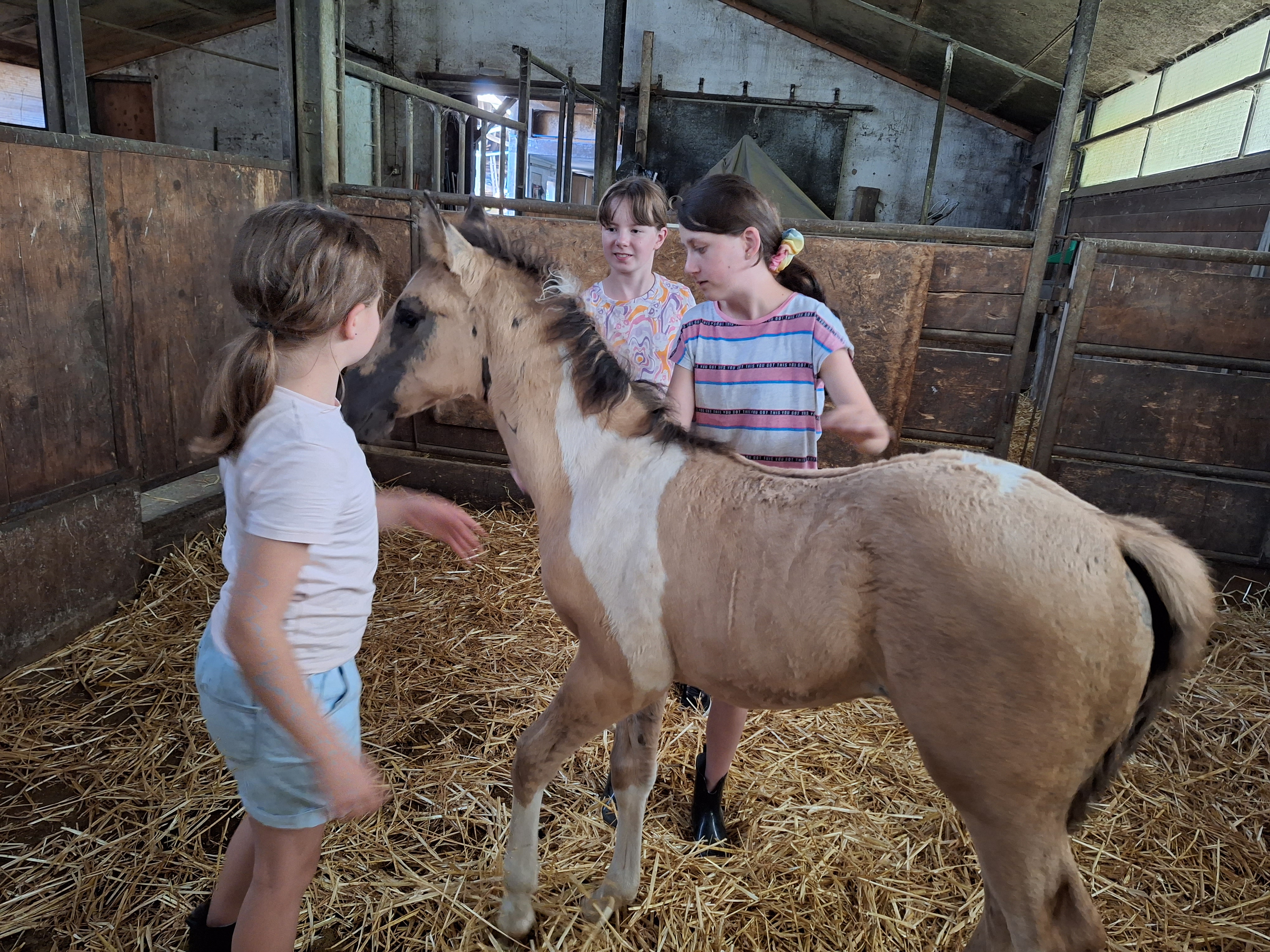Reitlager 1 vom 8.-13.7.23 (25)