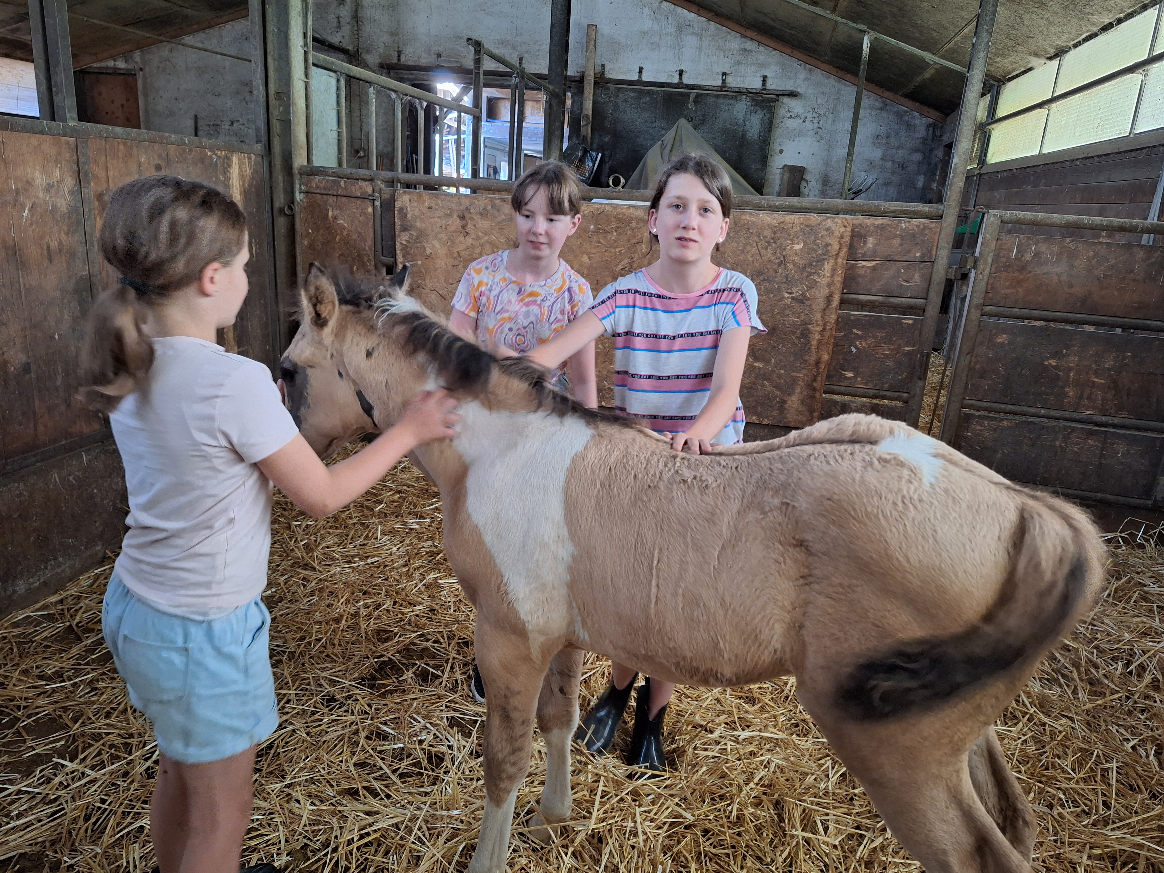 Reitlager 1 vom 8.-13.7.23 (26)